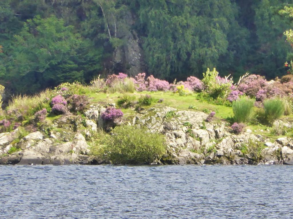 Glenridding House Hotell Rum bild